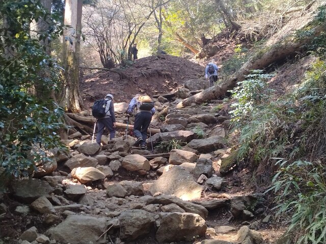 大山3.jpg