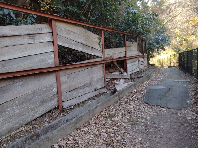 衣笠山1.jpg
